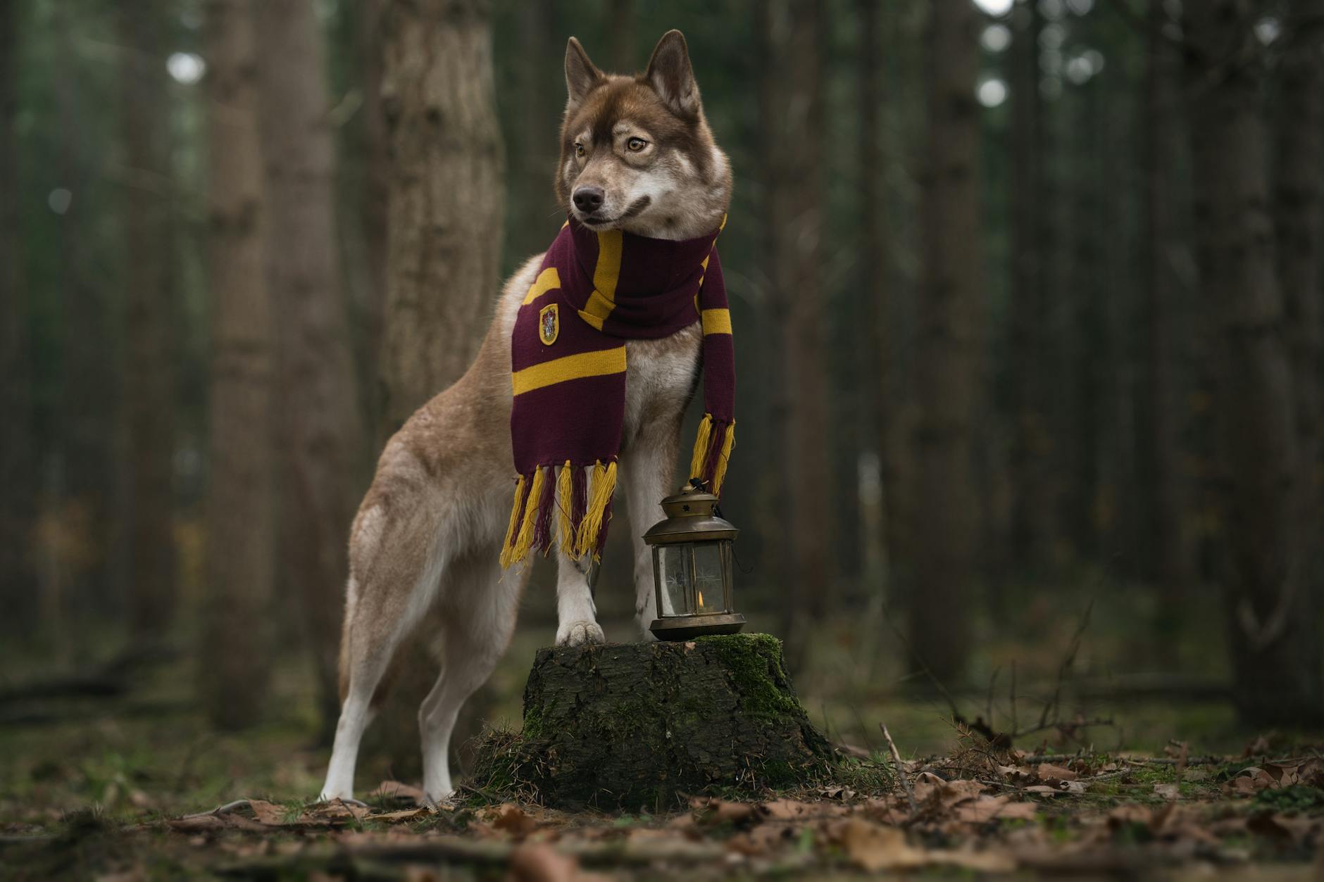 CRM-Based Loyalty Program