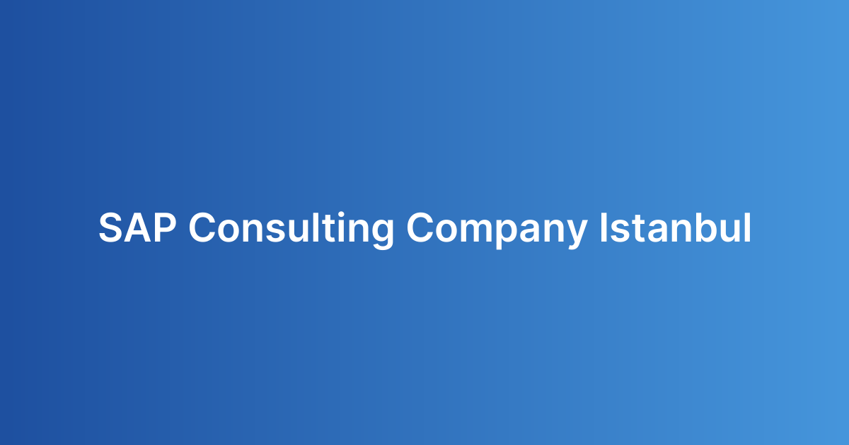 SAP Consulting Company Istanbul